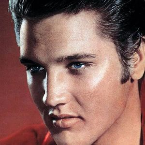 Meet your Posher, Beverley